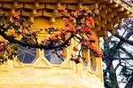 Hoa gạo chùa Trầm